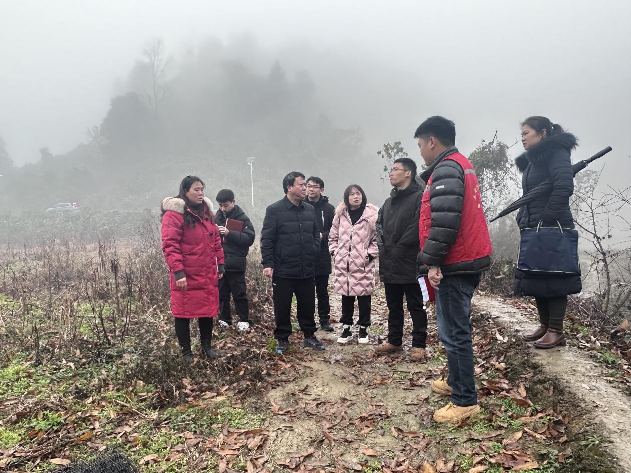 63f8592d-1c98-4bbb-8aef-78288d96a02f.jpg 63f8592d-1c98-4bbb-8aef-78288d96a02f.jpg